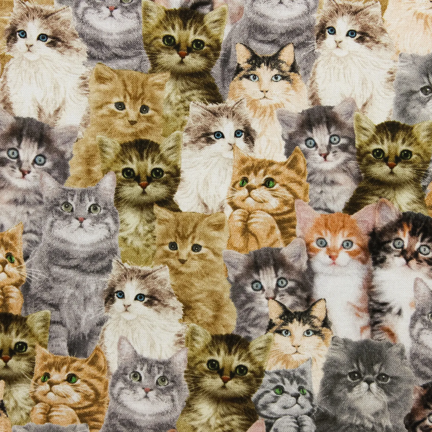 Katoen multicolor met kleine katten